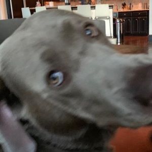 Meet your Posher, Mackie